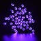 Perfect Holiday 30 LED String Light Battery Operated - Black Wire - Purple